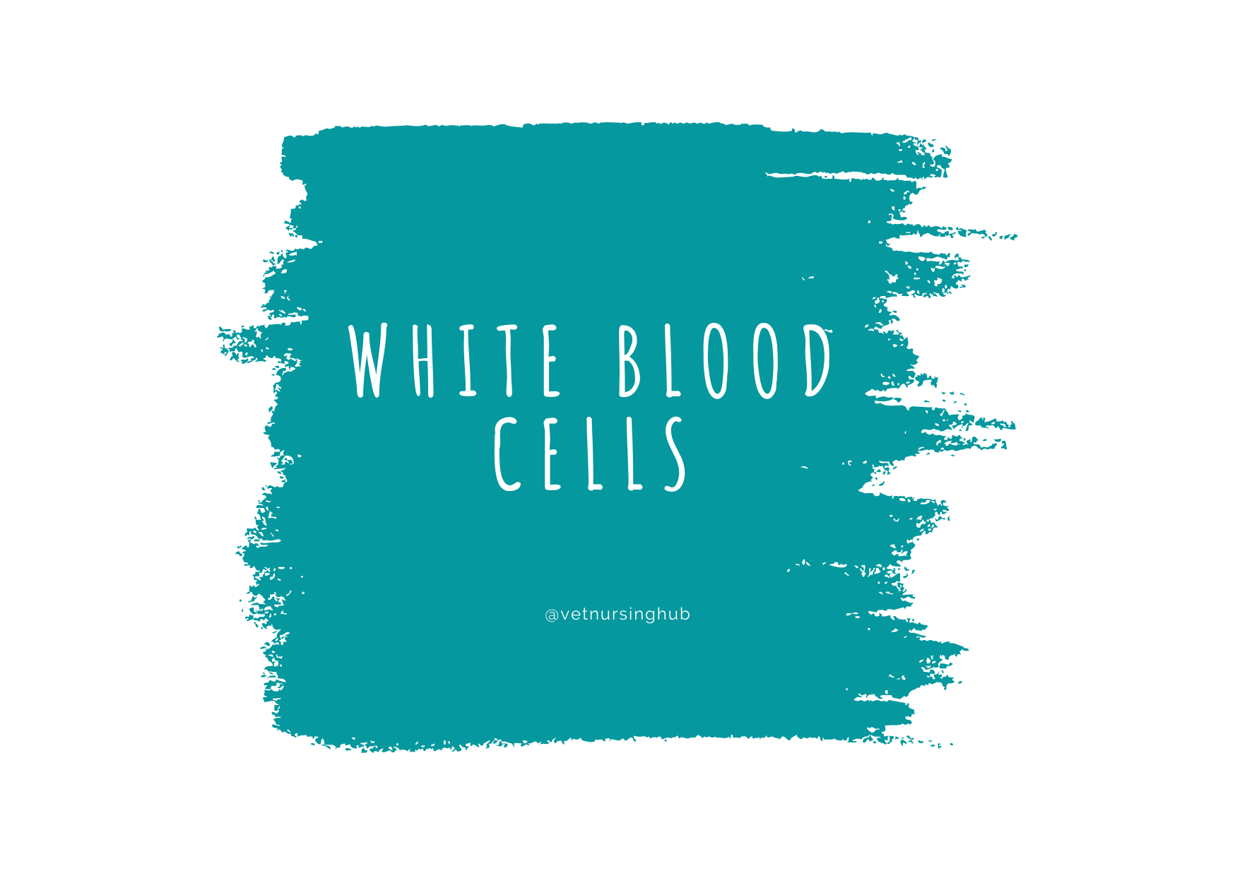 White blood cells