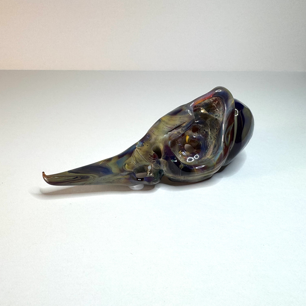 Thumbnail: Bird Skull No.2