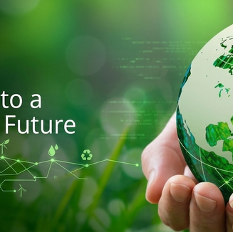 Our Commitment to Sustainability: What It Means to Us