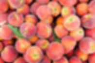 NECTARINE.jpeg