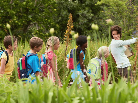 childrens in the nature