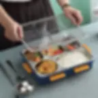 5 compartment lunch box