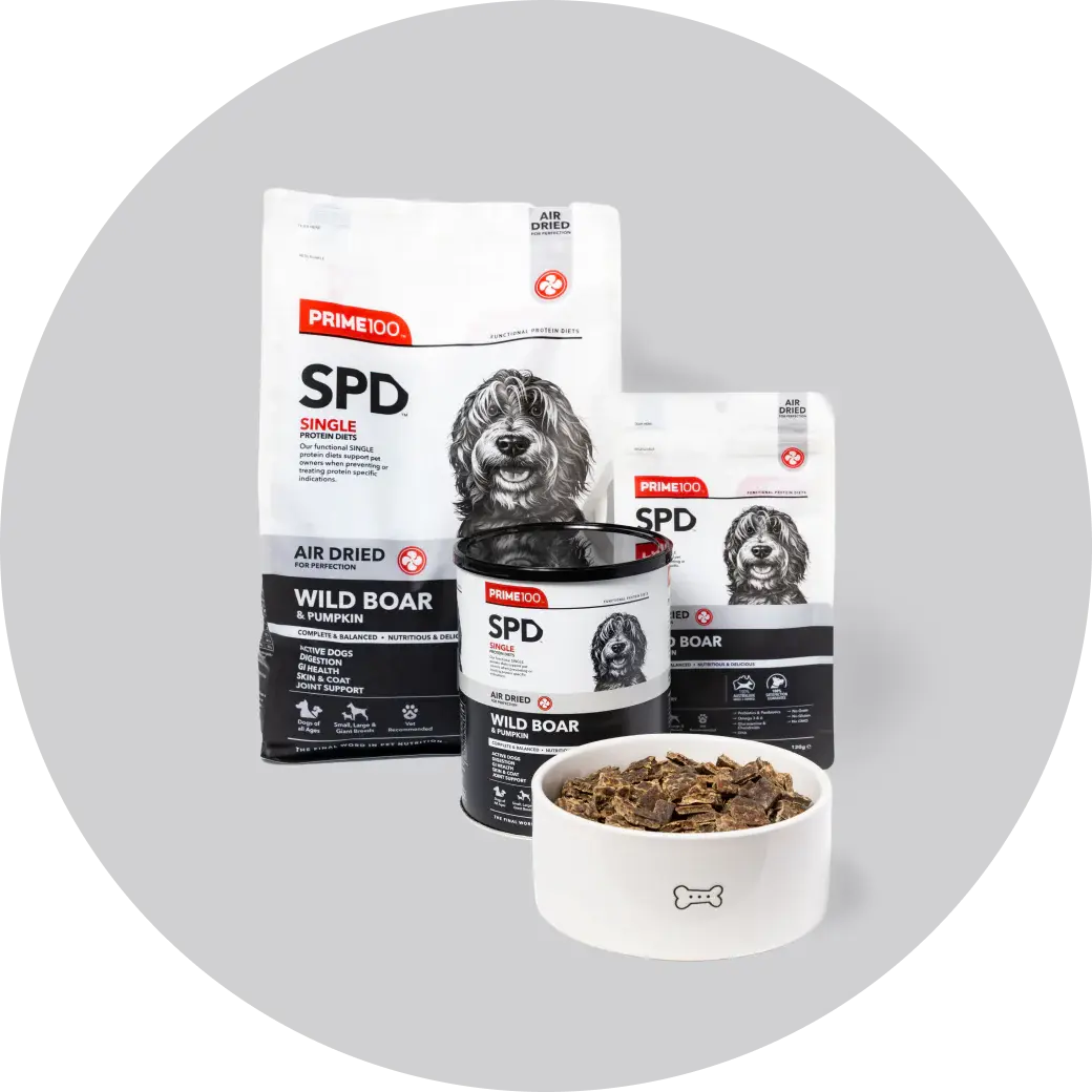 Prime100 SPD Wild Boar & Pumpkin Air Dried