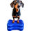 Thumbnail: FitPAWS - CanineGym® K9FITbone Balance Training Platform – Mini
