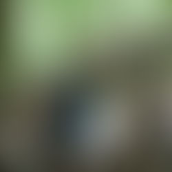 boy building a den with mum during forest family photoshoot in barnet, north london