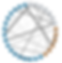Symptom networks in psychotic and affective disorders