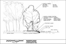 Arlington Marsh Concepts  and Sections 2023-01-13_Page_5_edited
