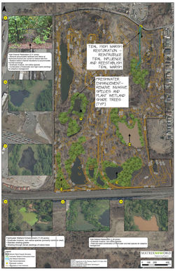 Arlington Marsh Concepts  and Sections 2023-01-13_Page_4
