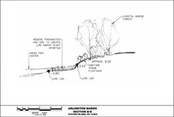 Arlington Marsh Concepts  and Sections 2023-01-13_Page_3_edited