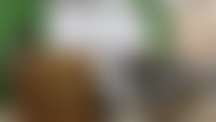 ‘தாய்மொழி’ என்ற ஏமாற்று வேலை