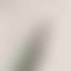 Caudalie Vinopure Salicylic Spot Solution Review