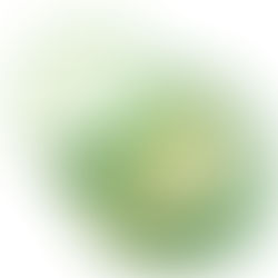 Glow Recipe Avocado Retinol Face Mask