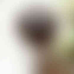 Hanskin Soonhan Houttuynia Calming Essence Toner Review