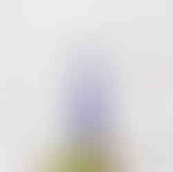 Kosas Hotliner Lip Liner Review