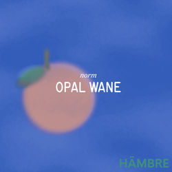 Hämbre « Opal Wane», 2024. Restaurant in Santa Eulà ria, Ibiza (ES)