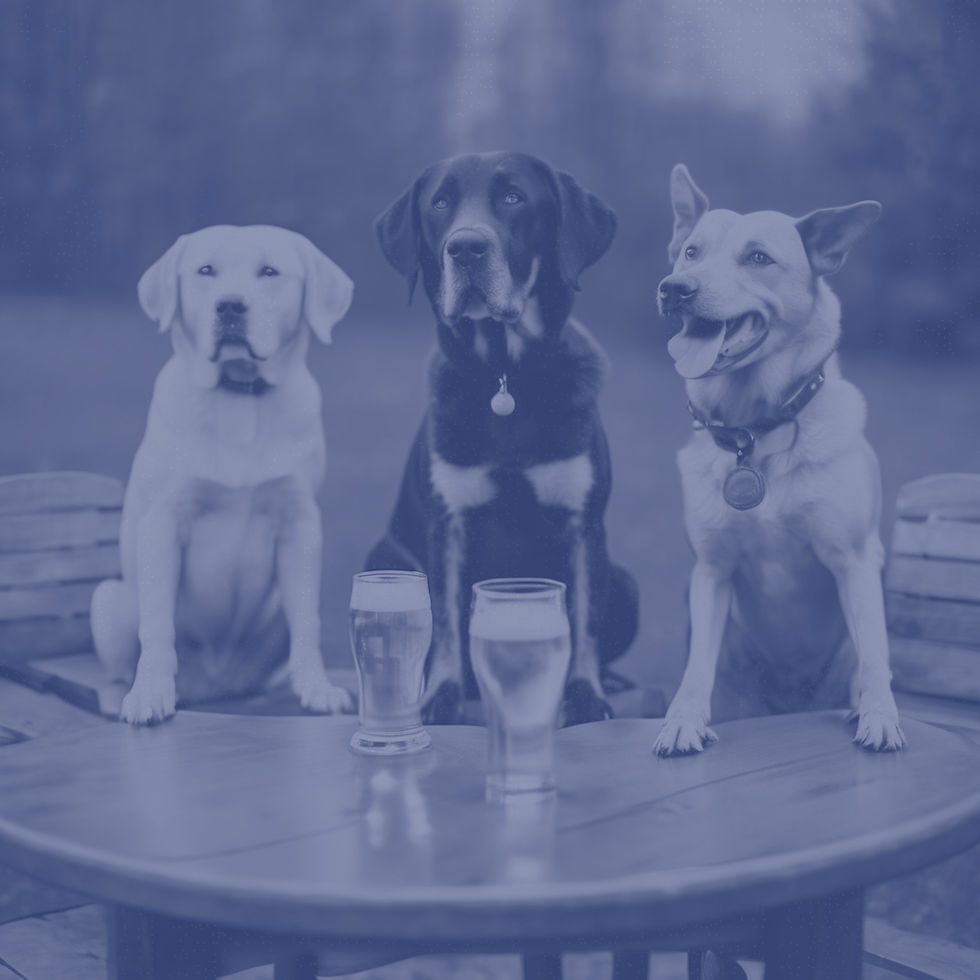 drinking beer with dogs.jpg