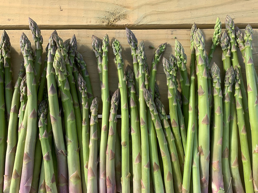 Asparagus Pickup: 7:30am-8pm