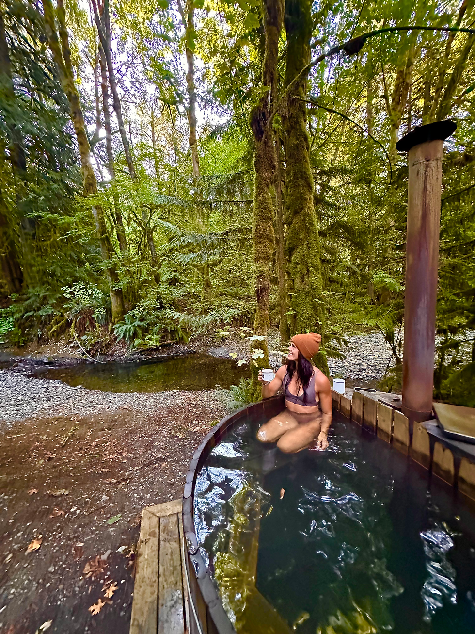 Washington State - The Cascades and Olympic