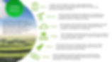 Solution Fluency poster.JPG