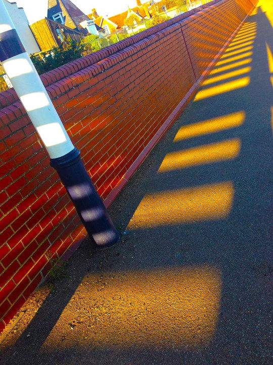 shadows-of-the-sun