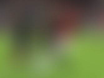 Soi kèo Milan vs Crvena zvezda, 03h00 ngày 12/12 - Cup C1