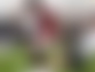 Soi kèo trận Atalanta vs Torino, 07h00 ngày 26/5 - Serie A