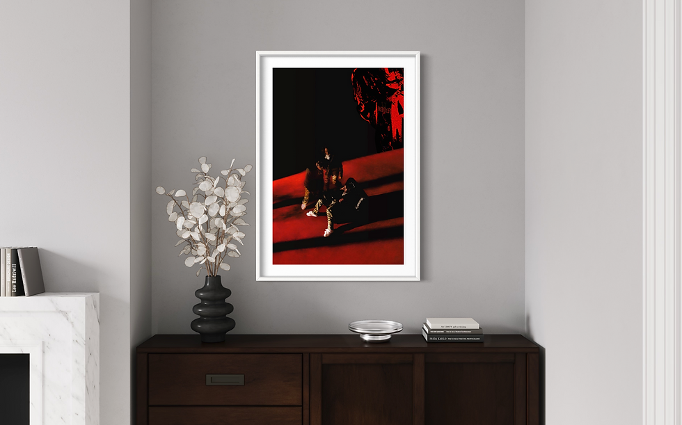 Thumbnail: The Life of a DON Print