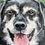 Thumbnail: Rottweiler_acrylic_6"x6"x2"