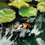 Thumbnail: Koi Pond- original acrylic painting