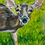 Thumbnail: "Oh Deer"- original acrylic painting- 16" x 20"