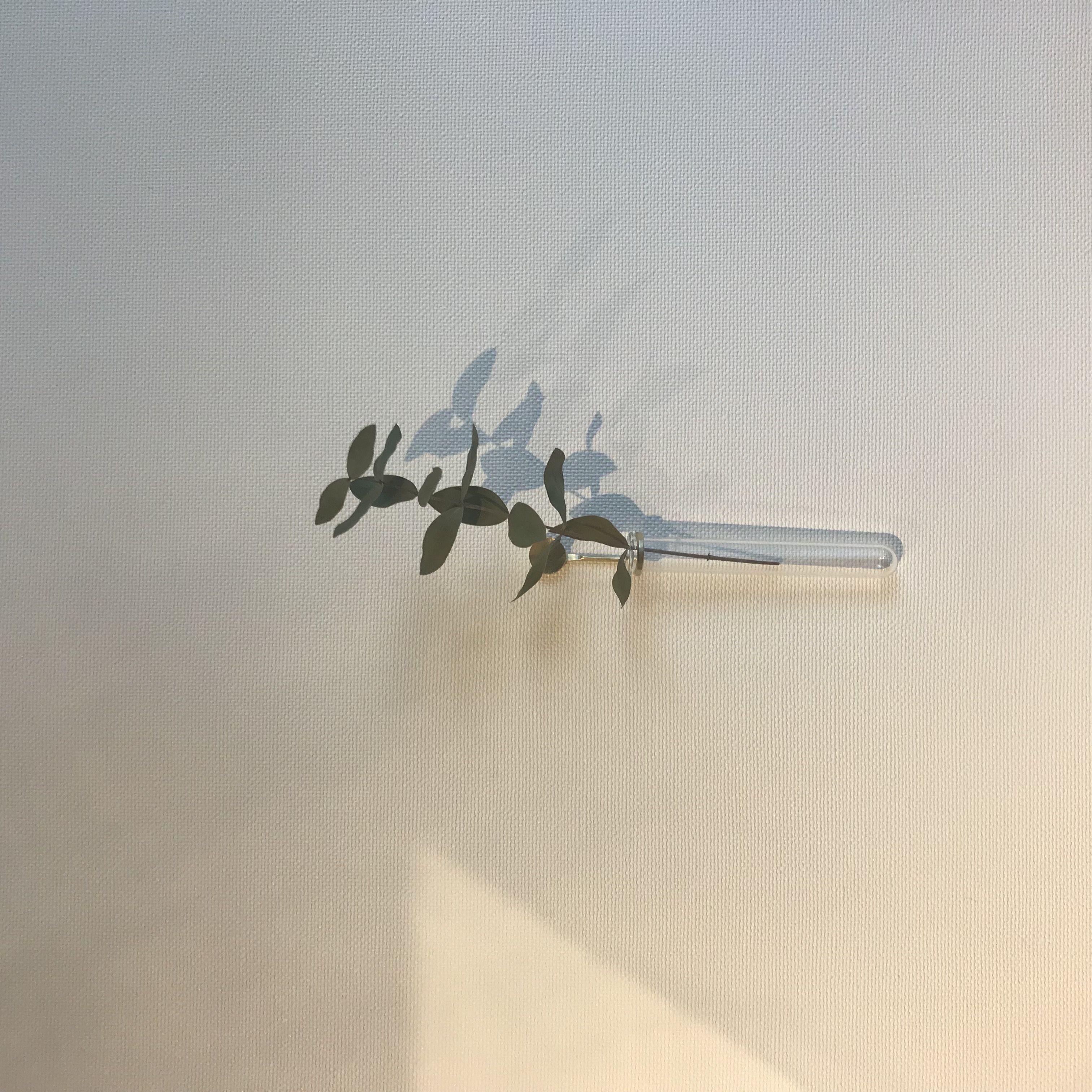 一輪挿し float