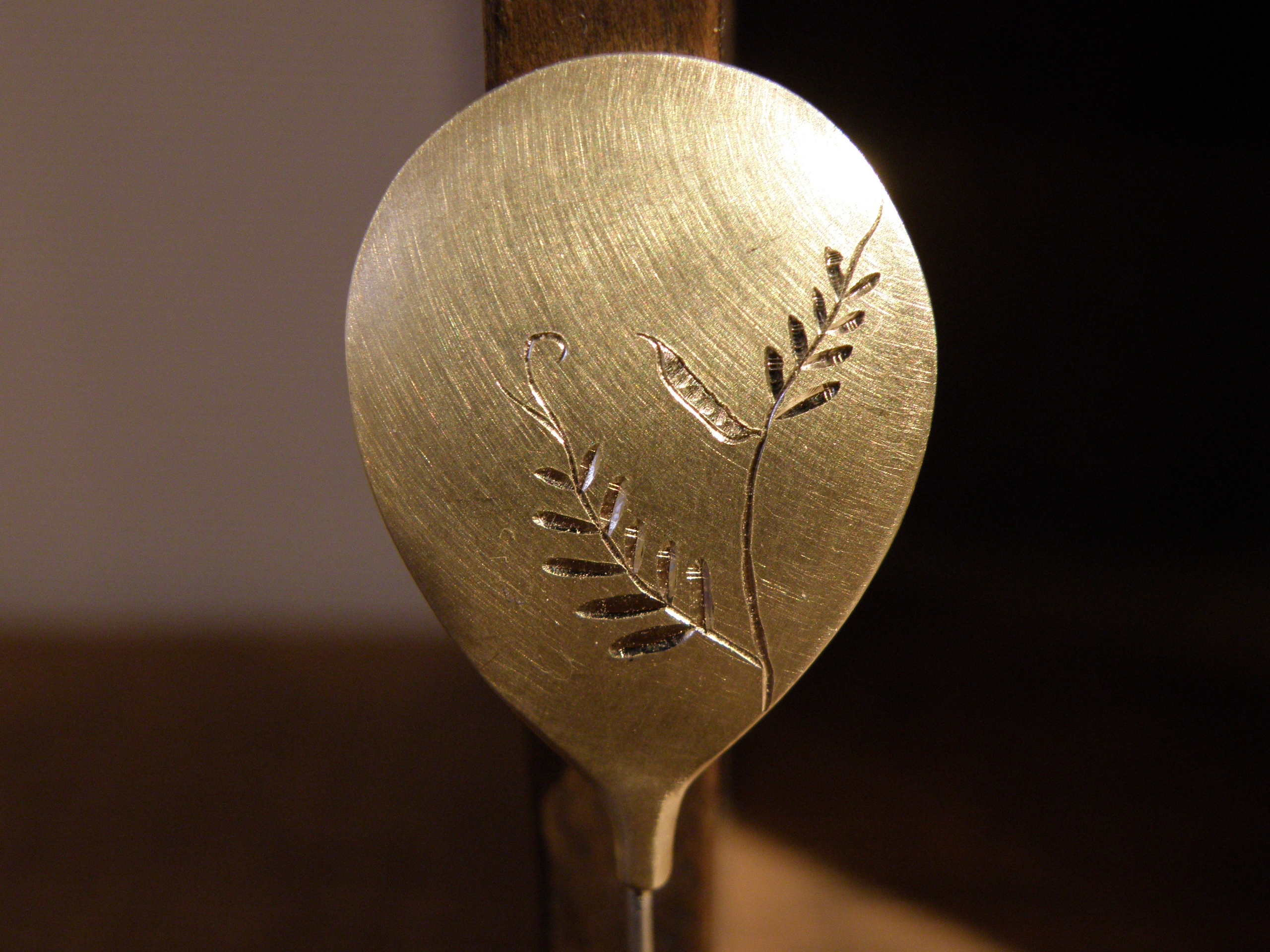 balloon pin broach-narrow-leaved vet