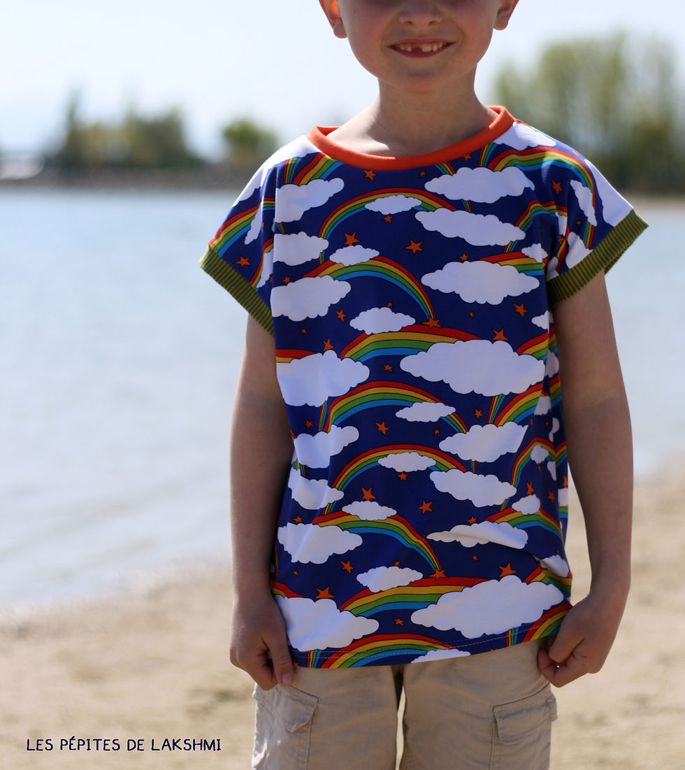Miniatura: Tee-shirt Hirondelles