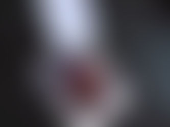 どうしましょ、全然更新してない