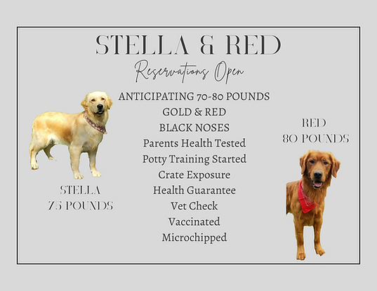 Stella & Red.png