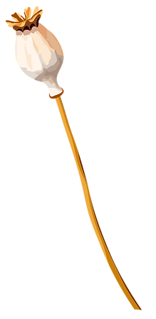 AdobeStock_436538196 _9_edited.png