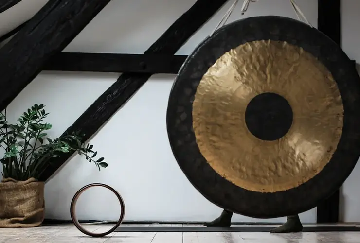 round black and brown gong beside potted green leafed palnt
