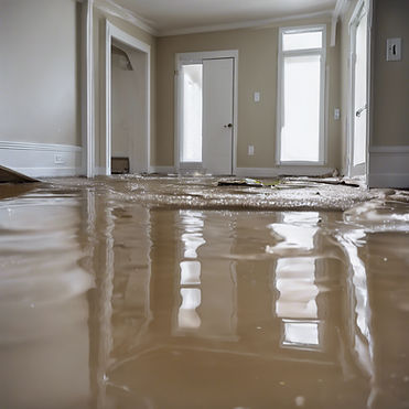 Flood Water damage Boise, Idaho
