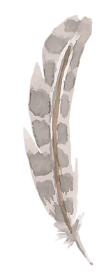 Feather 6