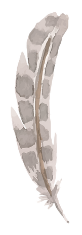 Feather 6