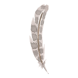 plume 6