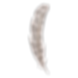 Feather 6