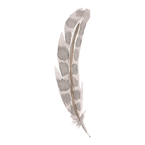 plume 6