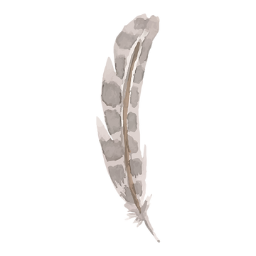 Feather 6