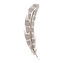 Spotted Feather Illustration