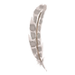 plume 6