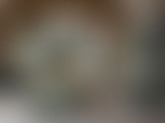 Traditional Style Kitchens