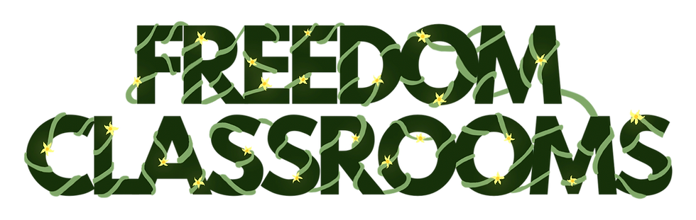 Freedom Classrooms Logo