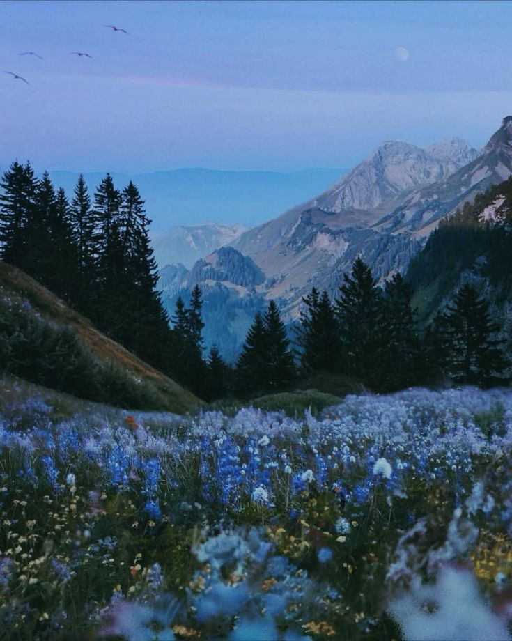 mountain pretty.jpg