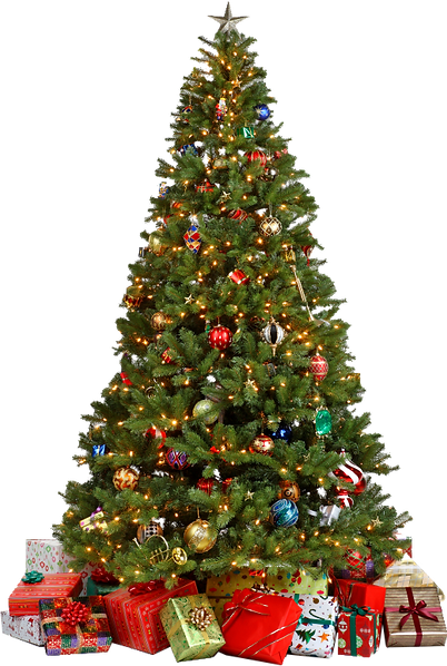 22734-7-christmas-tree-transparent-background.png